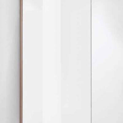 Διαχωριστικό Ντουζιέρας Crown Walk-In Gold Matt 110x195cm Clear Glass 4639110GA