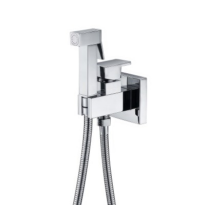 Imex Irlanda Επιτοίχιο Σετ Μπιντέ Chrome RDM003