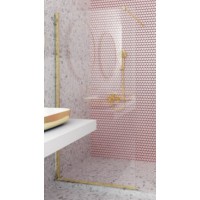 Orabella Serena Brushed Gold Διαχωριστικό Ντουζιέρας 100x185cm Clear Glass 30518